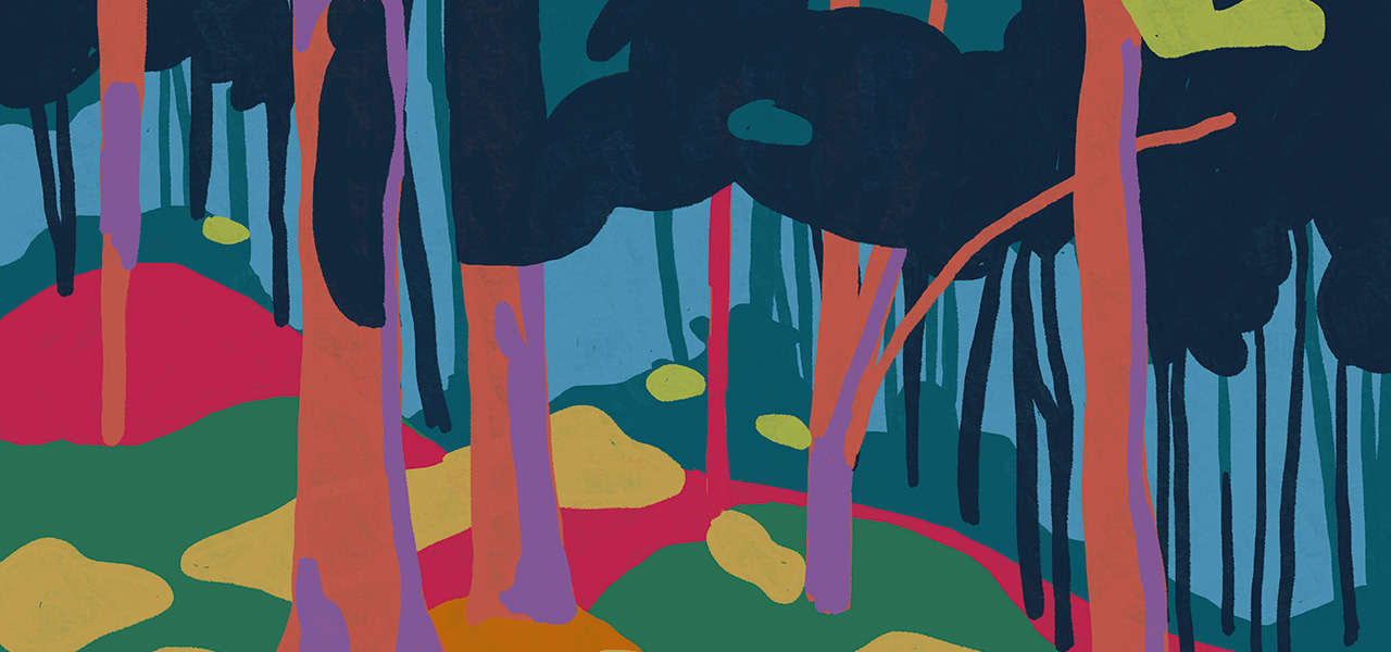fond affiche nuits des forêts