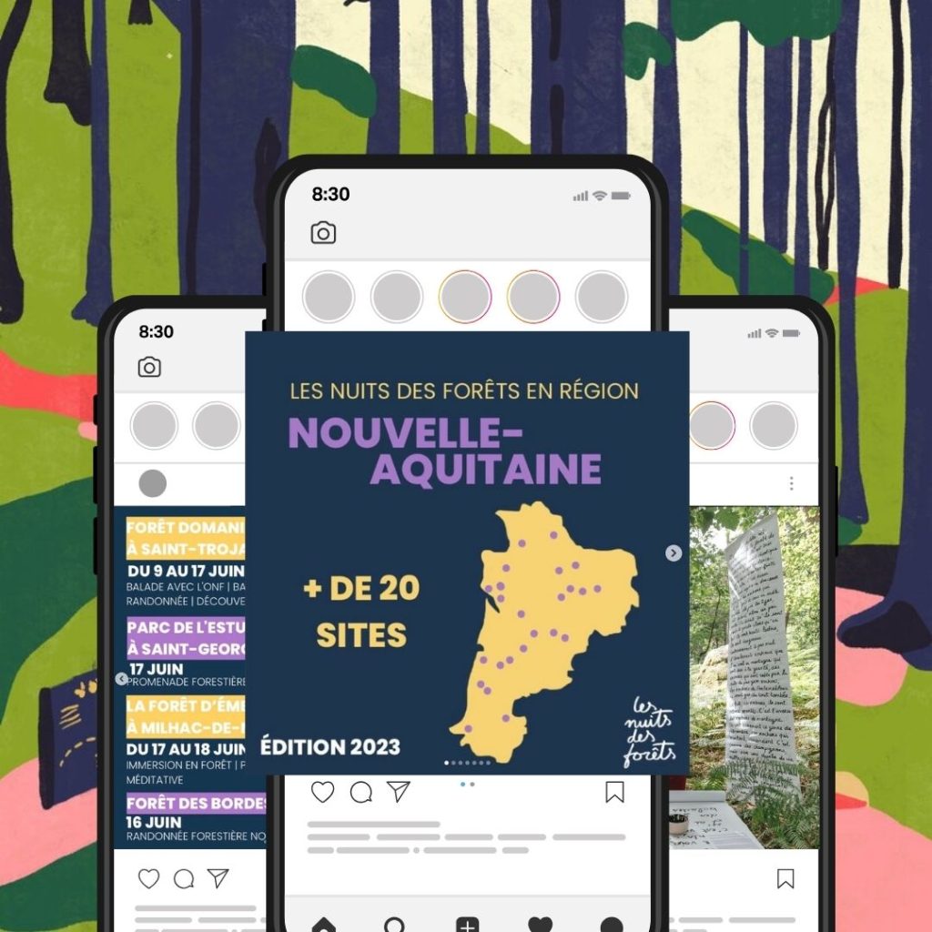 Mockup des post instagram de nuits des forêts sur telephone