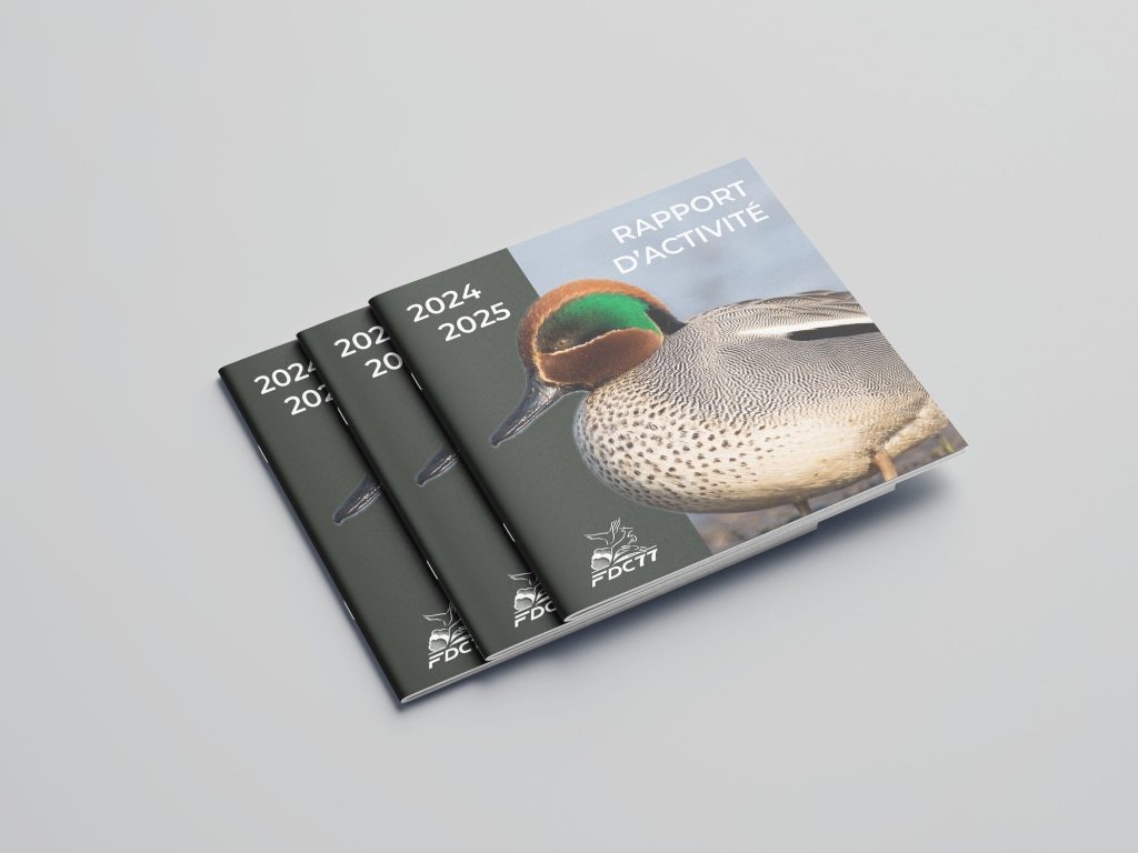 Rapport d'activité page de couverture